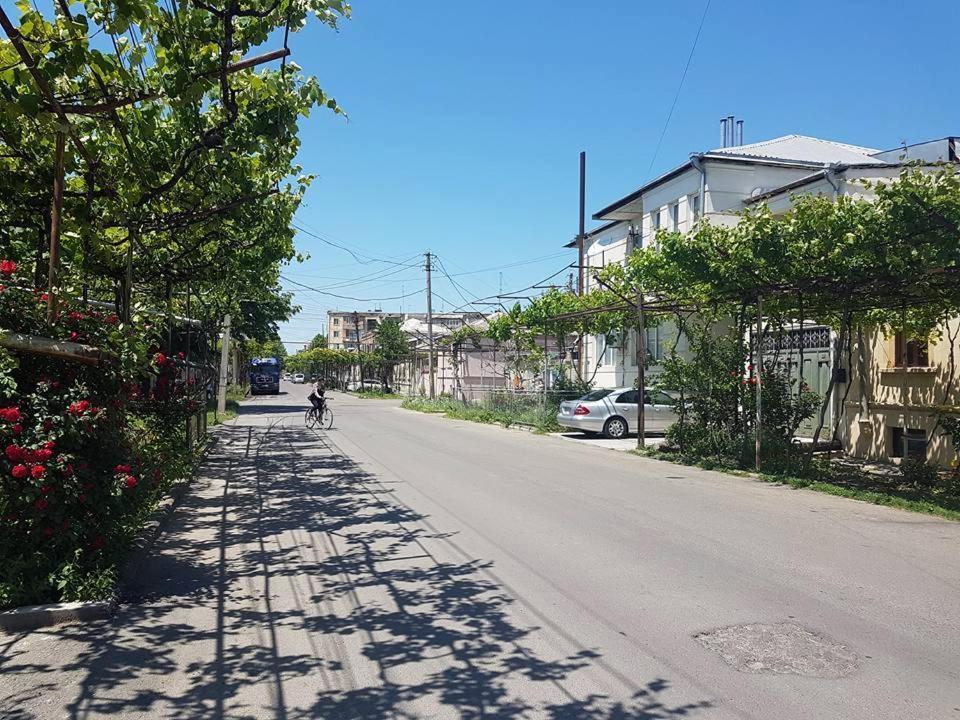 Nitsa Guest House Gori Buitenkant foto
